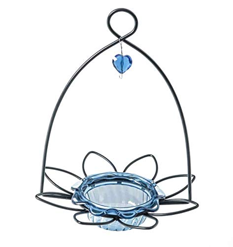 Birds Choice Bluebird Flower Decorative Blue and Black Bird Feeder