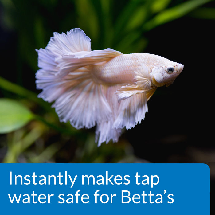 API BETTA WATER CONDITIONER