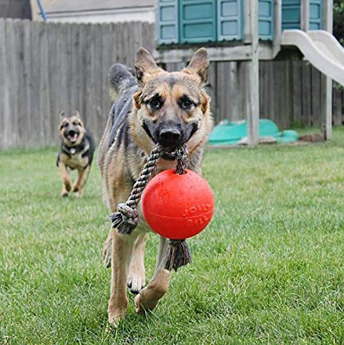 JOLLY PETS ROMP-N-ROLL BALL