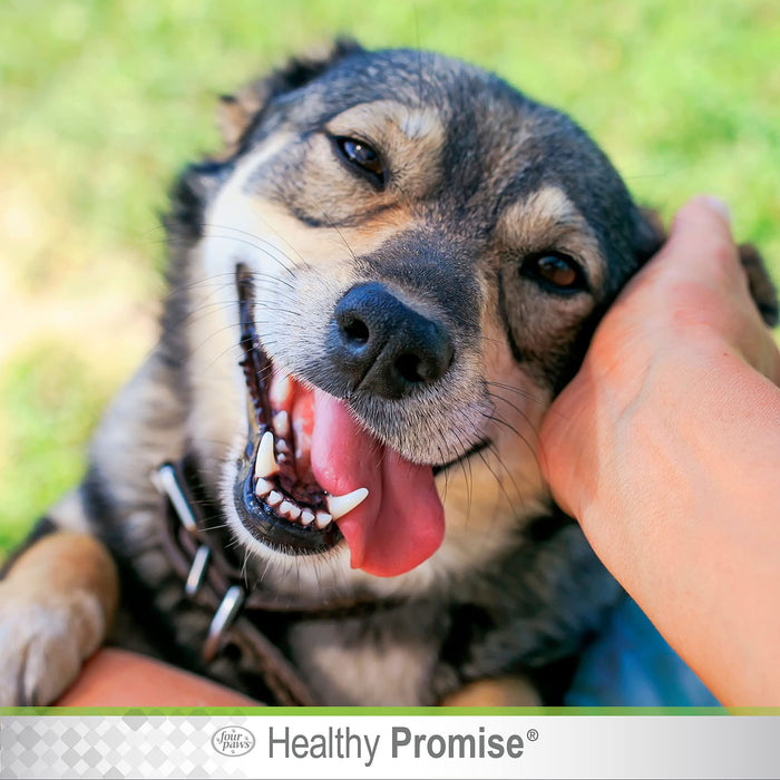 HEALTHY PROMISE ALOE EAR MITE TREATMENT FOR DOGS