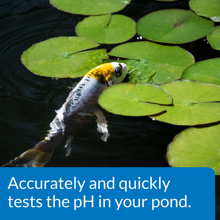 API POND LIQUID WIDE RANGE PH TEST KIT