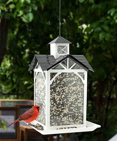 AUDUBON MODERN FARMHOUSE GLASS STABLE FEEDER