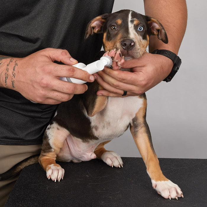 TOP PERFORMANCE PAW CLEAN FOAM