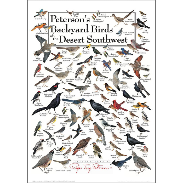 Peterson's Backyard Birds of the Desert SW Poster