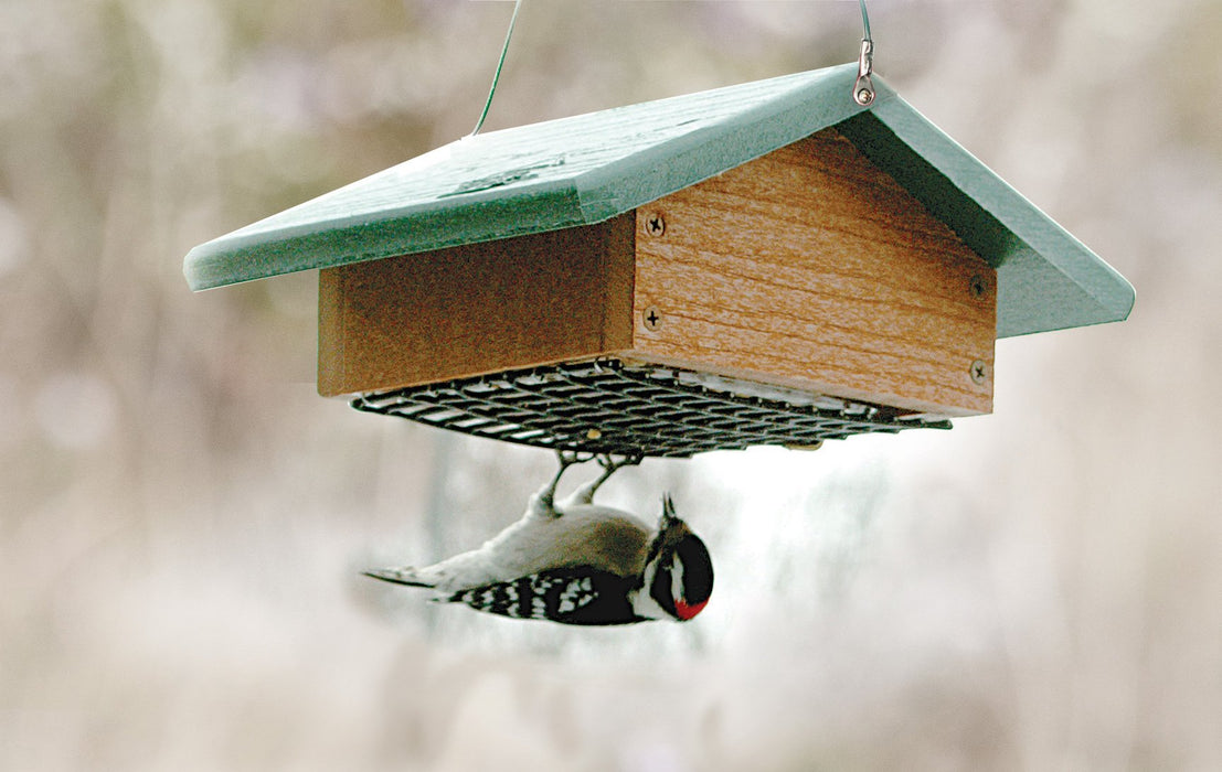 AUDUBON GOING GREEN UPSIDE DOWN SUET FEEDER
