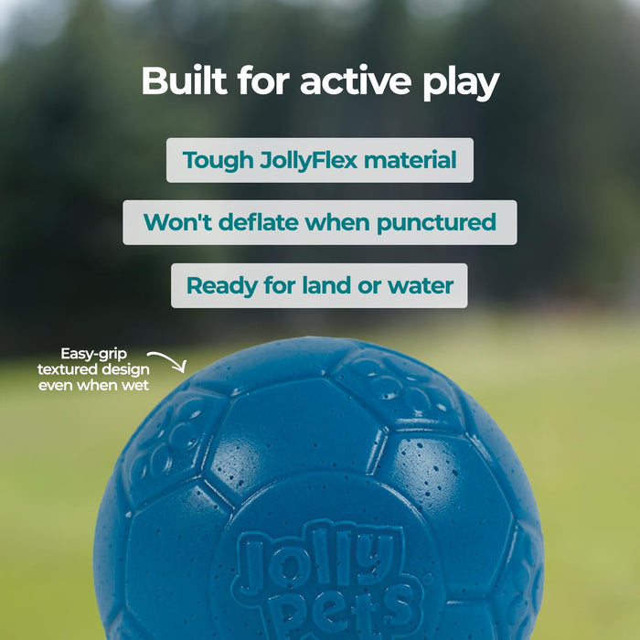 JOLLY PETS SOCCER BALL