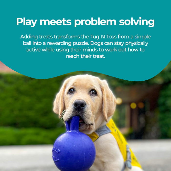 JOLLY PETS TUG-N-TOSS BALL