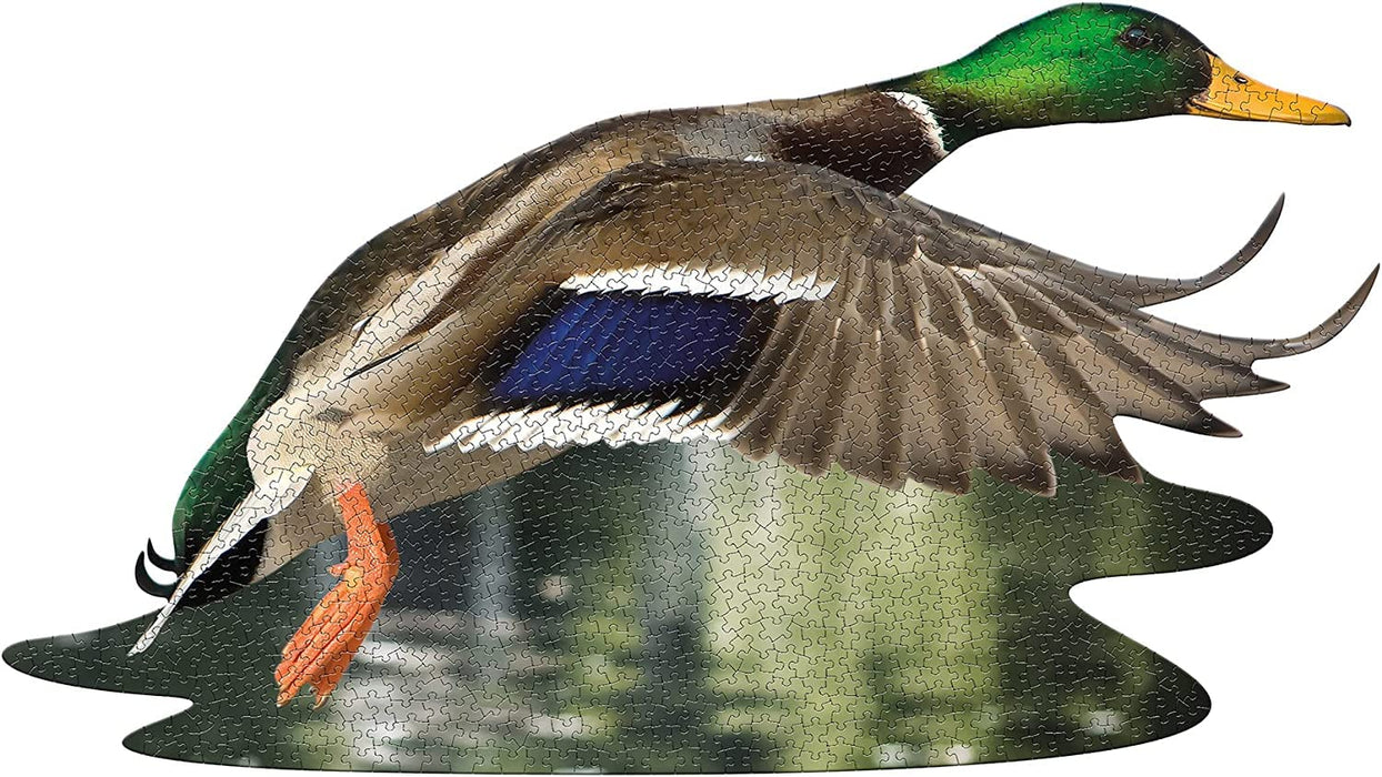 I AM DUCK Puzzle 1000 pcs