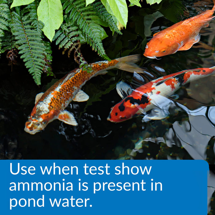 API POND AMMO-LOCK AMMONIA DETOXIFIER