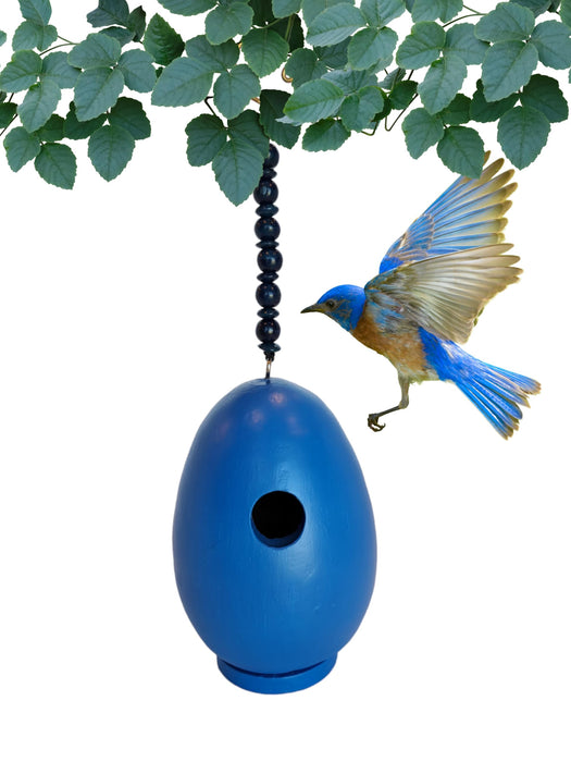 Bobbo from Songbird Essentials Blue Egg Bird House