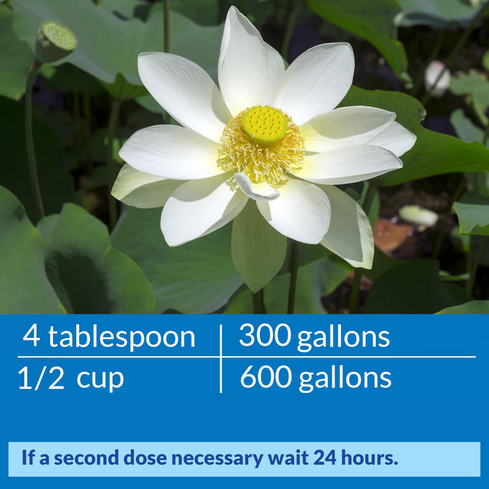 API POND ACCU-CLEAR WATER CLARIFIER