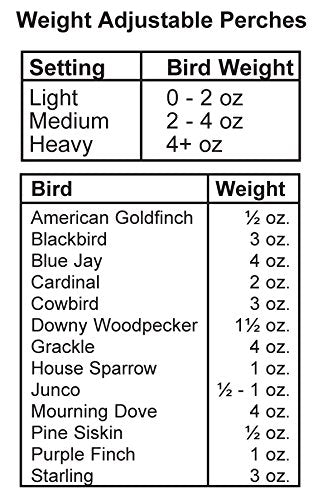 Woodlink Absolute II Squirrel Resistant Bird Feeder Model 7536, 12 lbs, Model:301045