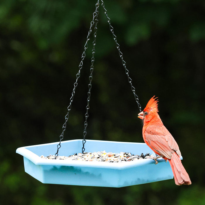 ECOCYCLE COMBO CAFE 2-N-1 BIRD FEEDER & BIRD BATH