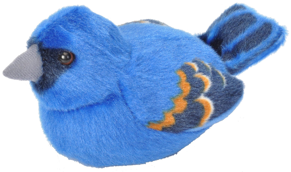 Plush Blue Grosbeak