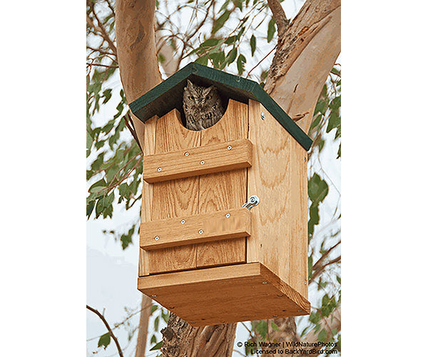WILDLIFE FEEDERS & HOUSES: Screech Owl House