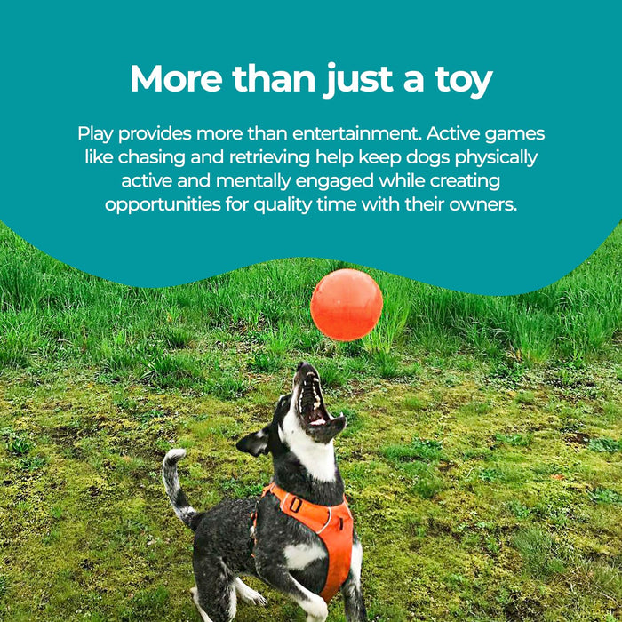 JOLLY PETS BOUNCE-N-PLAY BALL