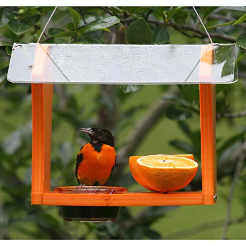 Birds Choice GSOF Bird Feeders, Oriole Feeder, 10.5" L X 8.75" W X 7.625" H, Orange/Clear