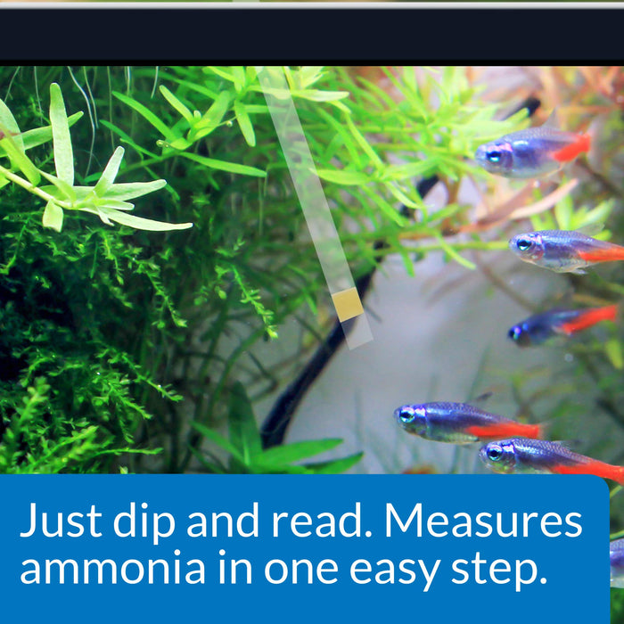 API AMMONIA AQUARIUM TEST STRIPS