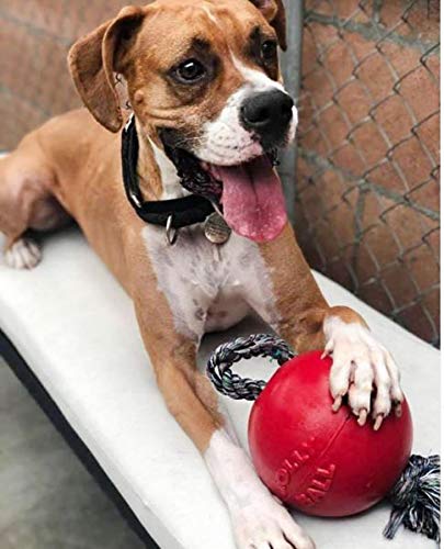 JOLLY PETS ROMP-N-ROLL BALL