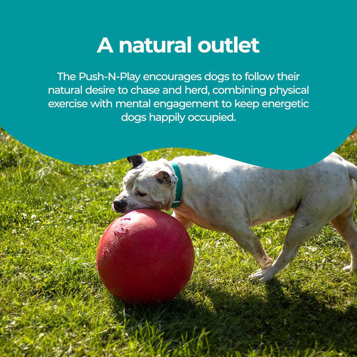 JOLLY PETS PUSH-N-PLAY BALL