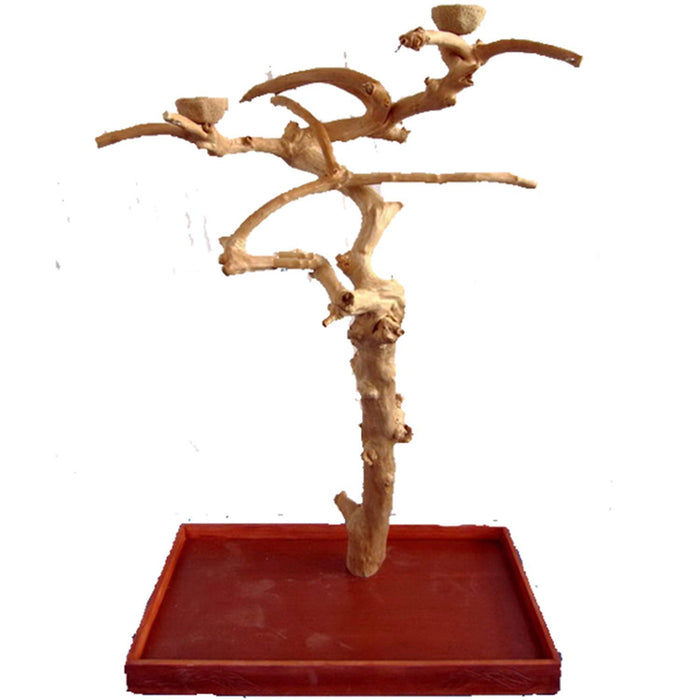 JAVA WOOD TREE BOX