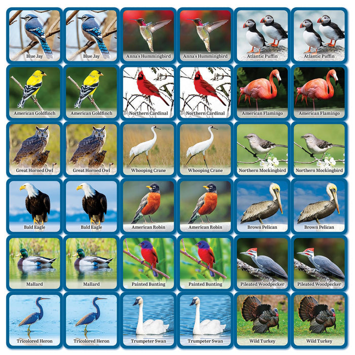 MasterPieces Puzzles Audubon Bird Matching Game