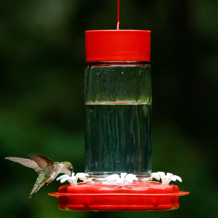 SCARLET SWIRL GLASS HUMMINGBIRD FEEDER