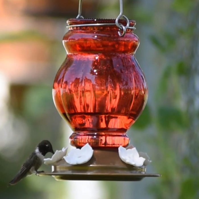 RUBY VISIONS ANTIQUE GLASS HUMMINGBIRD FEEDER