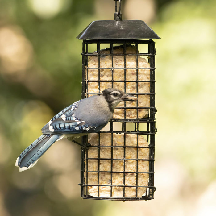 METAL SUET CAGE BIRD FEEDER W/ ROOF