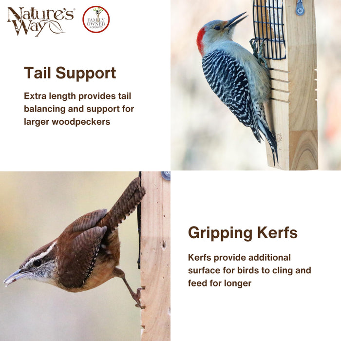 TAIL PROP SUET FEEDER