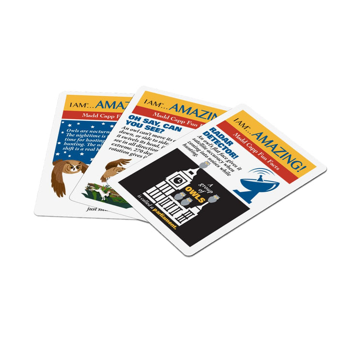 I AM OWL Playing Cards