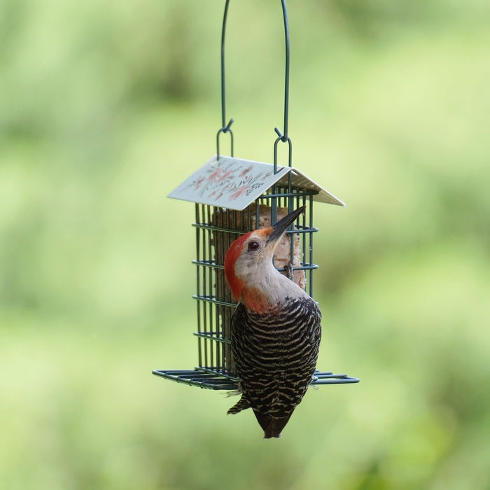 DECORATIVE METAL SUET CAGE BIRD FEEDER W/ROOF