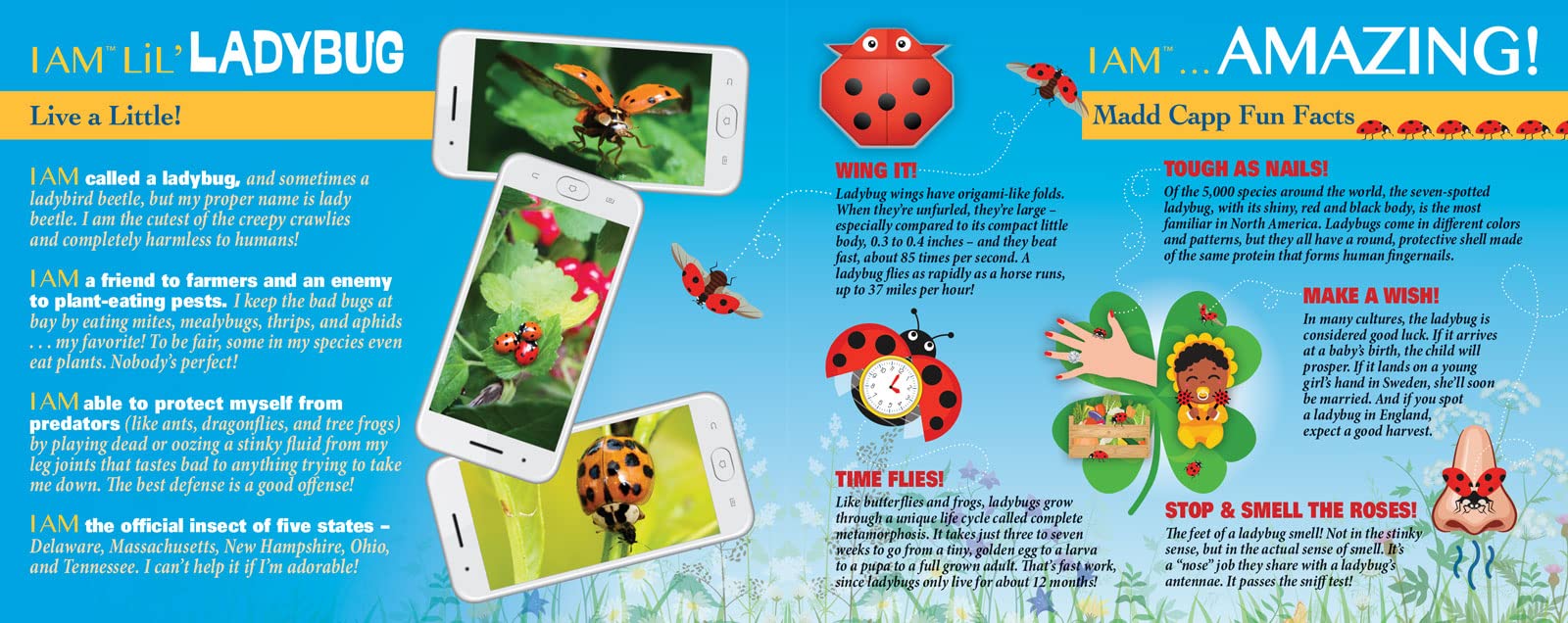 I AM LIL' LADYBUG Puzzle 100 p
