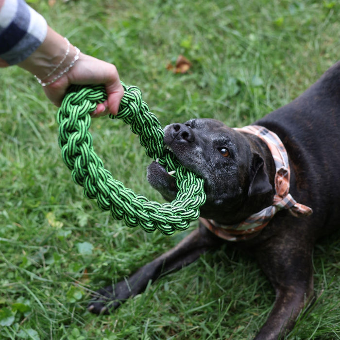 JOLLY PETS KNOT N CHEW TIK TAK TUGZZ O