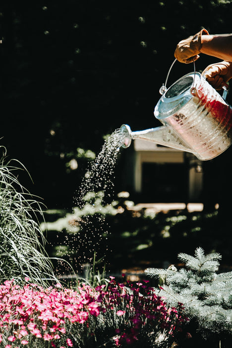HOT DIPPED STEEL WATERING CAN