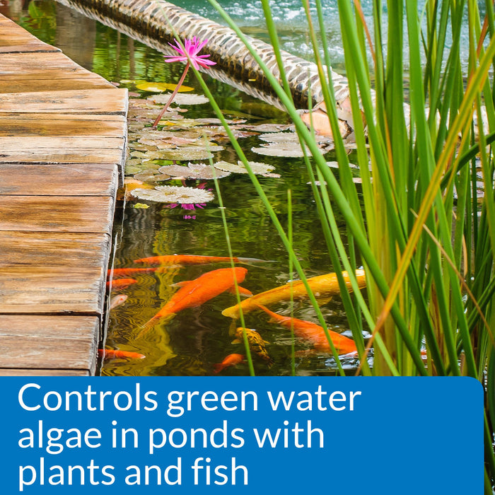 API POND MICROBIAL ALGAE CLEAN