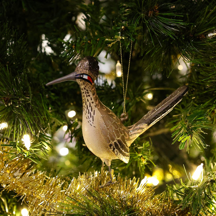 Cobane Studio  Greater Roadrunner