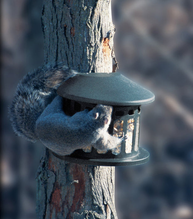 AUDUBON SQUIRREL DINER 2 FEEDER
