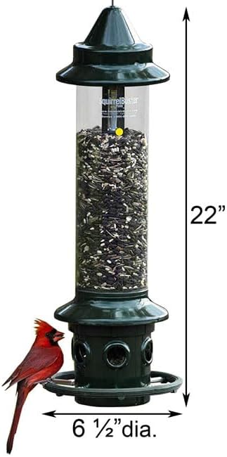 Brome Squirrel Buster Plus Feeder