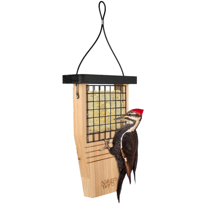 TAIL PROP SUET FEEDER