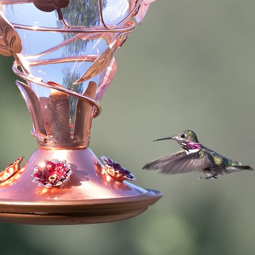 Perky-Pet Looking Glass Hummingbird Feeder - 8110H-1 - Humming bird Feeder for Outdoors - 32 oz Nectar Capacity