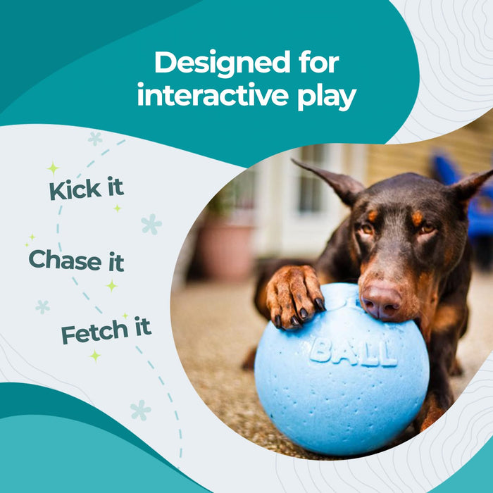 JOLLY PETS BOUNCE-N-PLAY BALL