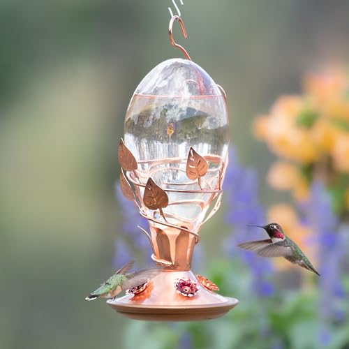 Perky-Pet Looking Glass Hummingbird Feeder - 8110H-1 - Humming bird Feeder for Outdoors - 32 oz Nectar Capacity