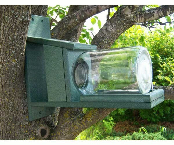 WILDLIFE FEEDERS & HOUSES: Recycled Plastic Squirrels in Jar Feeder