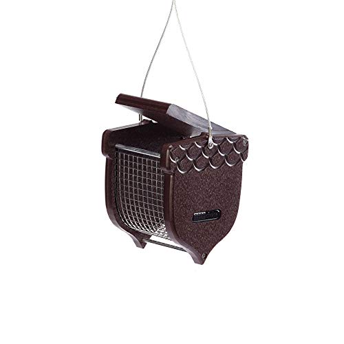 Birds Choice Acorn Shaped Peanut Feeder, Brown