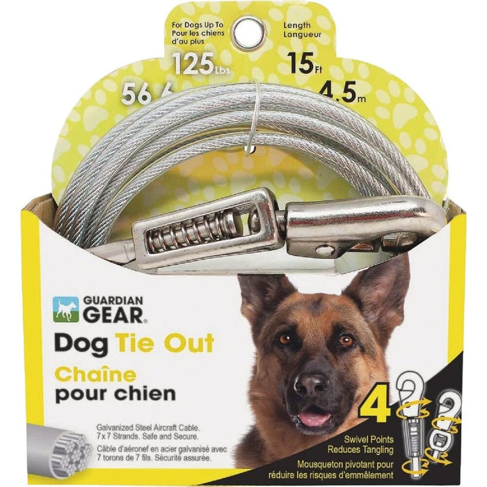 BOSS PET TIE-OUT W/ SPRING