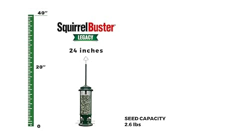 Squirrel Buster Legacy Squirrel-Proof Bird Feeder w/4 Metal Perches, 2.6-Pound Seed Capacity