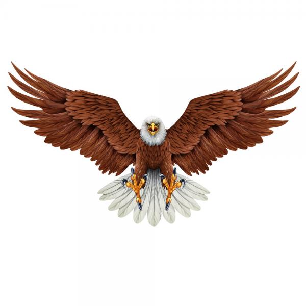 Next Innovations Realistic Screaming Eagle Wall Art