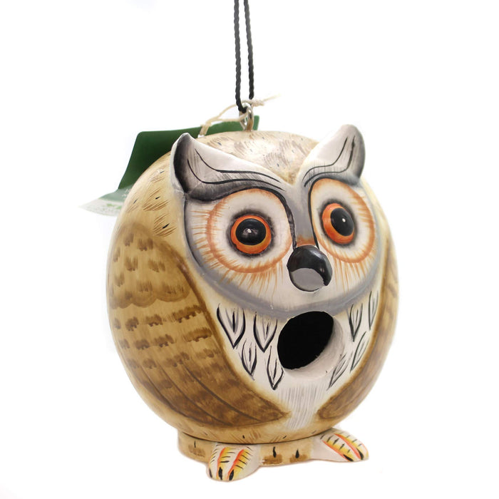 Bobbo from Songbird Essentials Owl Gord-O Bird House