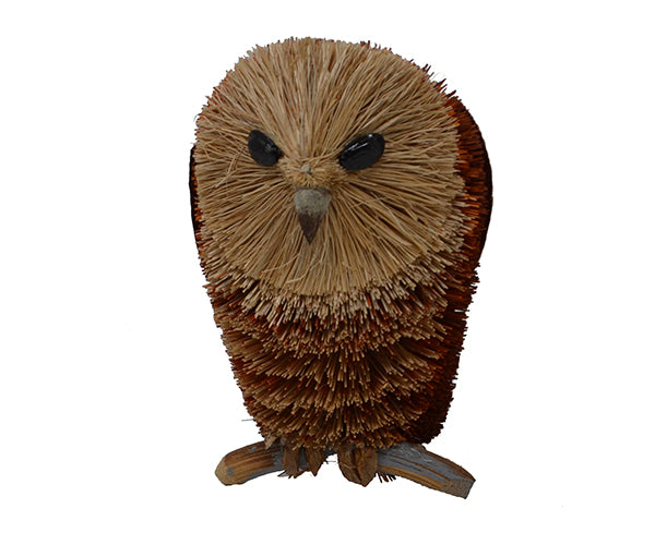 Owl On Branch